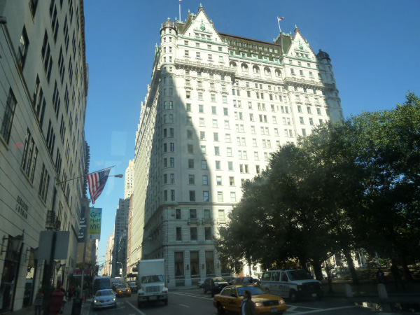 New York 2010 077