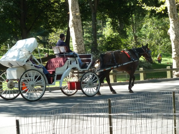 New York 2010 266