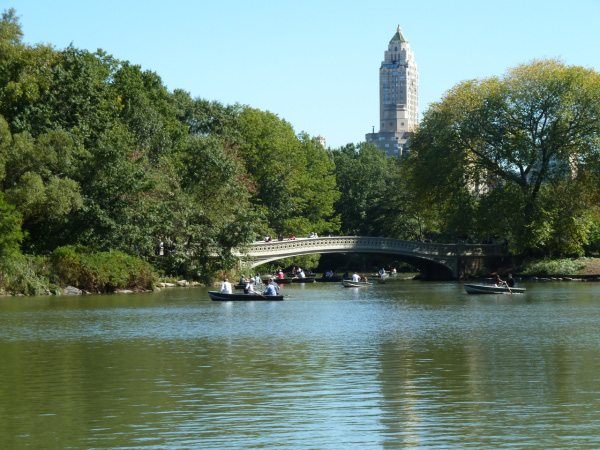New York 2010 638