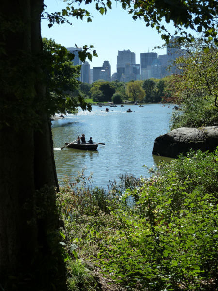 New York 2010 658